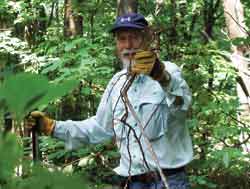 Hal with Bittersweet Root